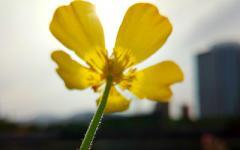 新房装修必知的五大装饰-叭楼楼市分享网