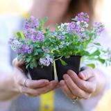 貔貅招财秘密你知多少-叭楼楼市分享网