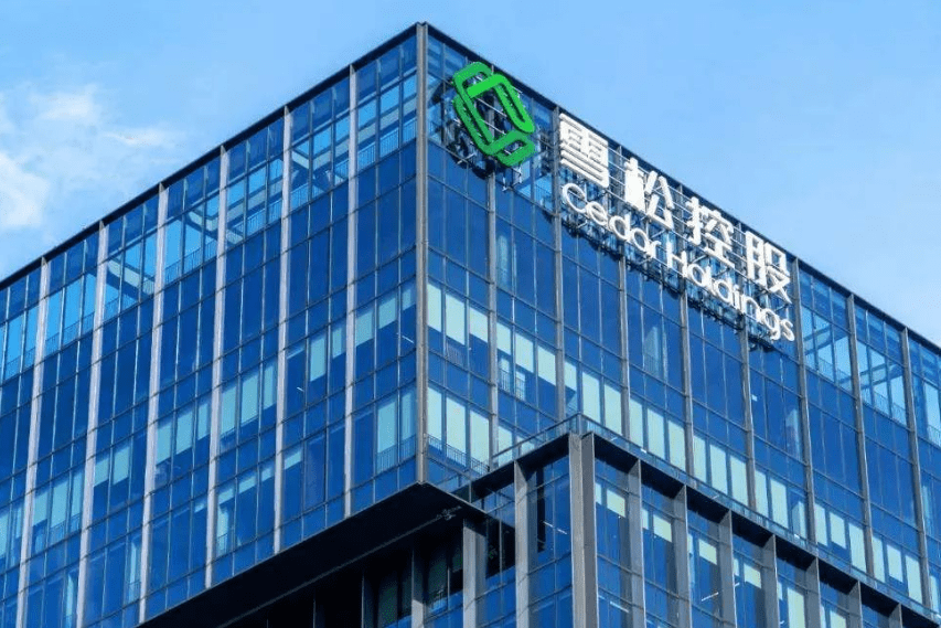 千亿“雪松控股”一朝倾覆-叭楼楼市分享网