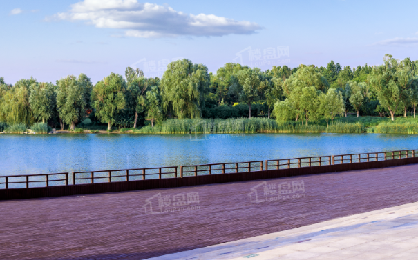 1104155889340.png image.png