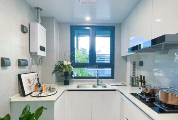 1155174055173.png image.png