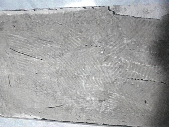 真的，别再用“瓷砖胶+水泥”贴砖