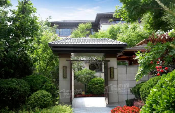 1000041565904.png image.png