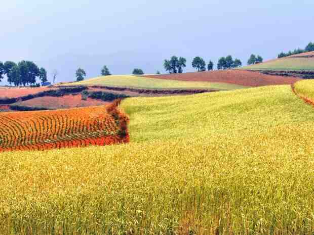 60年房龄的房子能买吗？房龄高的房子好贷款吗？-叭楼楼市分享网