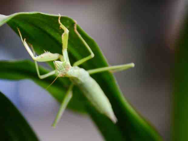 银行房产证抵押贷款需要多久?房子贷款怎么还合适?-叭楼楼市分享网