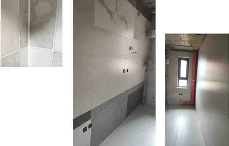 用炫彩的业主，真“识货”！