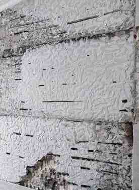 这样贴砖,当然空鼓啊!