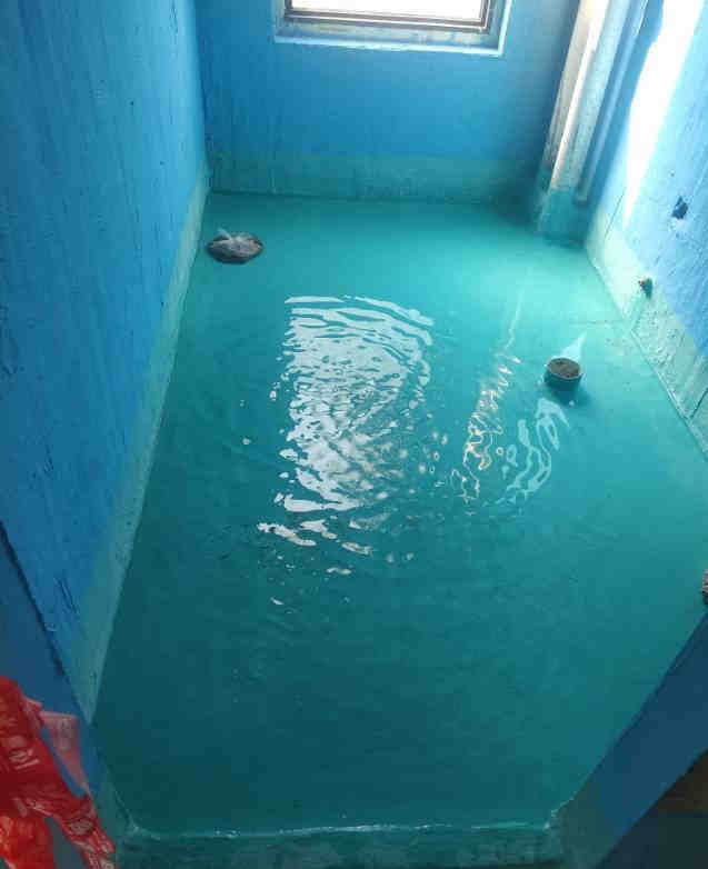 邻居家的防水,都是“蓝墙绿地”!