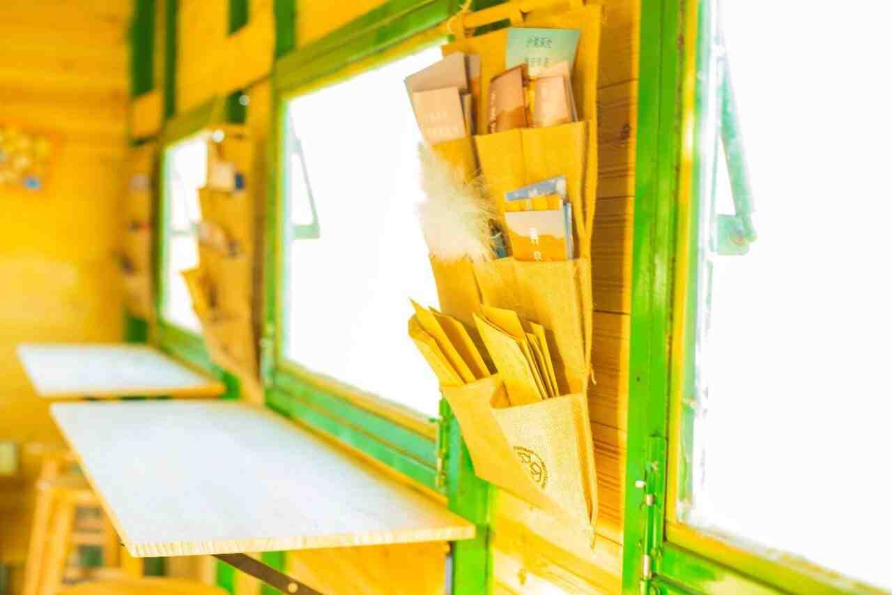 快!和德高“益”起,为沙漠添绿