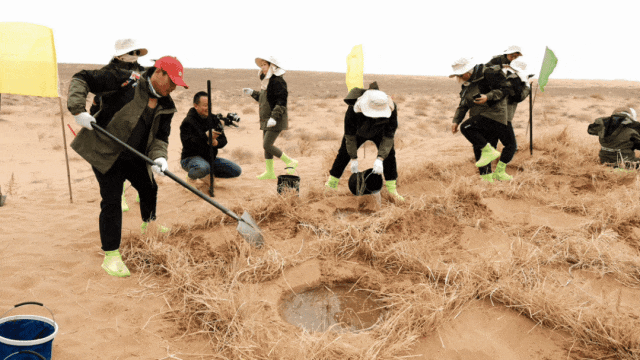 沙漠,还有邮局?