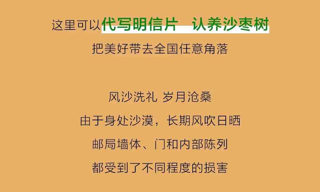 《一个为沙漠“添绿”的故事》正片温暖上线