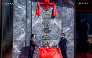 从皇家御园到现代雅居：中建壹品·花香壹号的时间旅行-叭楼楼市分享网