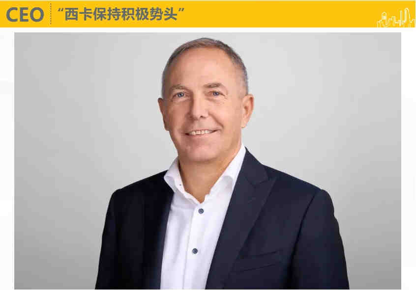 西卡2024第一季度财报,新鲜出炉!