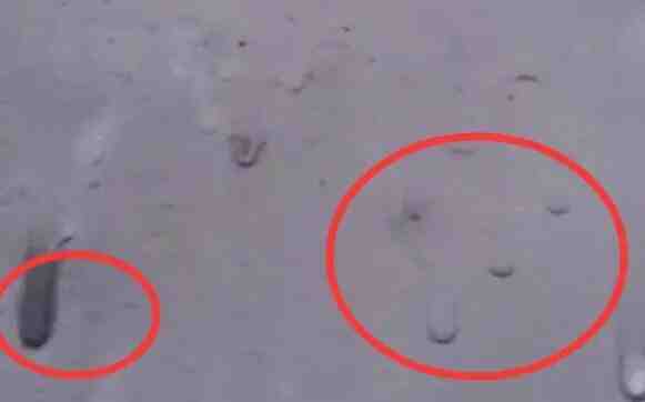 看完,谁还敢“加料”?