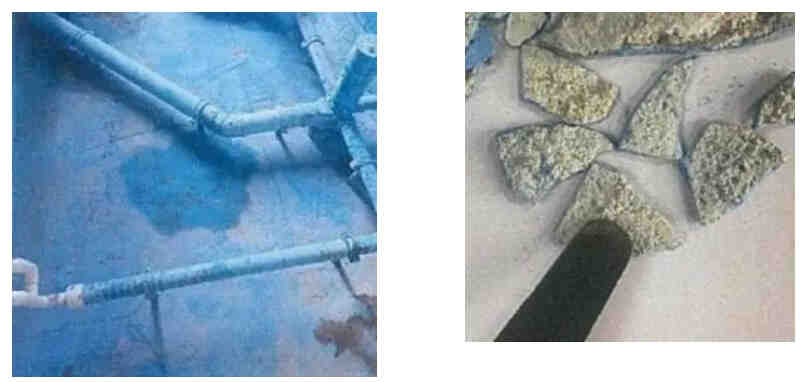 杩欐牱鍋氶槻姘达紵鐪熺殑浼氣€滆鈥濓紒